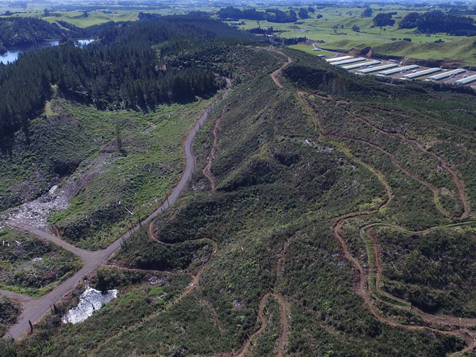 Our Trails New Plymouth Mountain Bikers